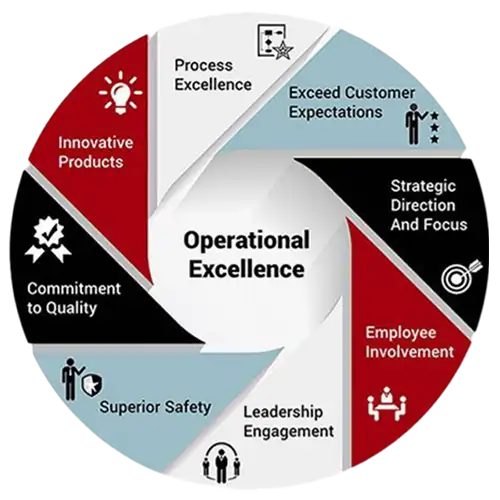 Process of Whiznic Solutions towards Excellence